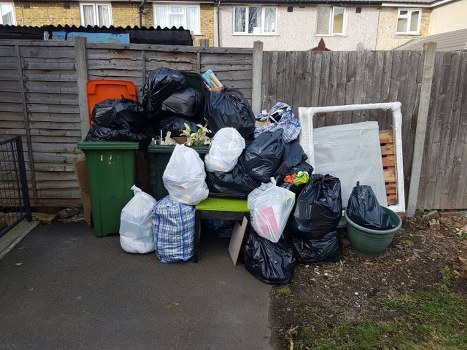 Before and after garden clearance showcasing a vibrant Harlesden garden