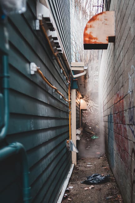 A narrow outdoor alleyway situated between a dark green corrugated metal building on the left and a weathered brick wall on the right, both extending vertically out of view. The alley is cluttered wit
